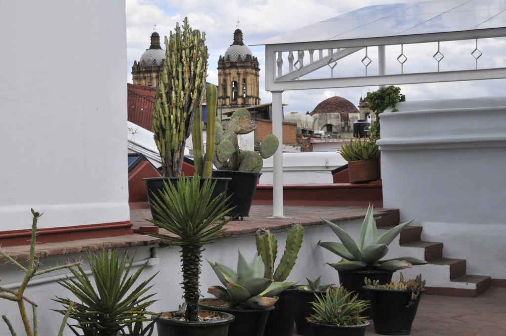Casa Oaxaca Hotel Bagian luar foto